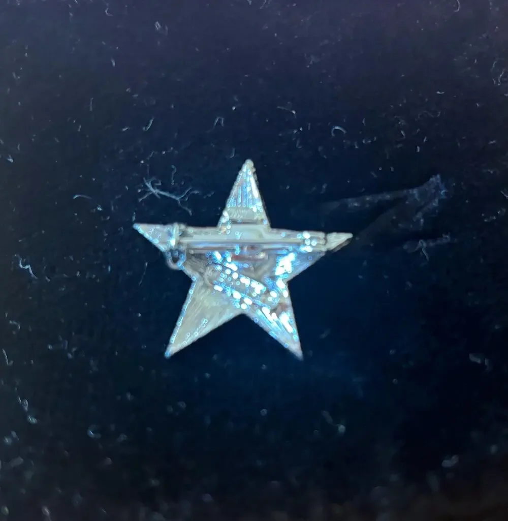Vintage Gerry star brooch.